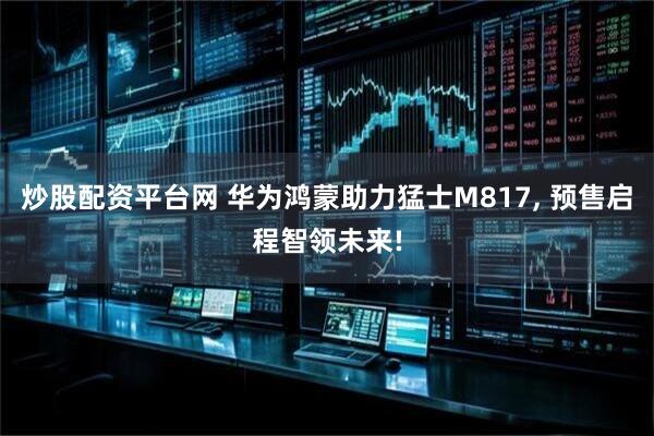 炒股配资平台网 华为鸿蒙助力猛士M817, 预售启程智领未来!